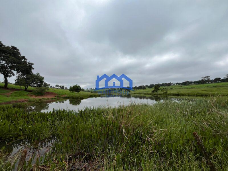 Fazenda a venda na região de Avaré 3.3638,00m² R$ 42.000.000,00