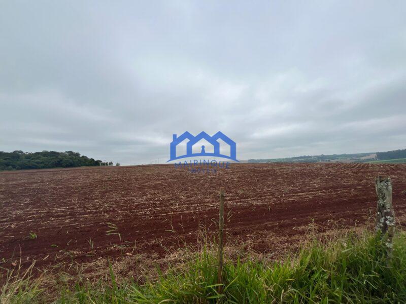 Fazenda a venda na região de Avaré 3.3638,00m² R$ 42.000.000,00