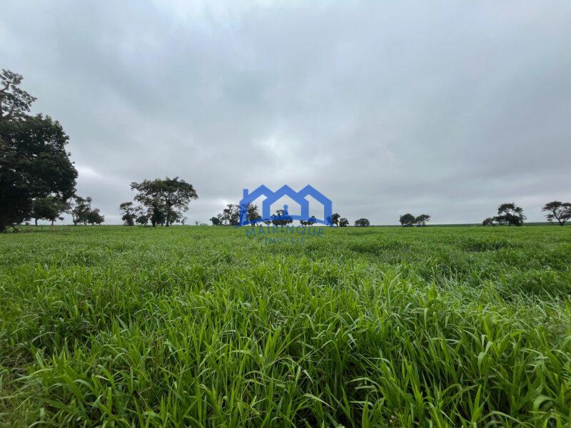 Fazenda a venda na região de Avaré 3.3638,00m² R$ 42.000.000,00