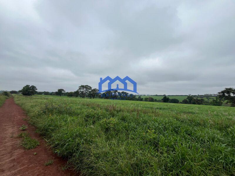 Fazenda a venda na região de Avaré 3.3638,00m² R$ 42.000.000,00