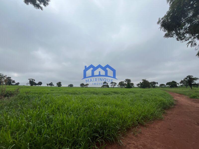 Fazenda a venda na região de Avaré 3.3638,00m² R$ 42.000.000,00