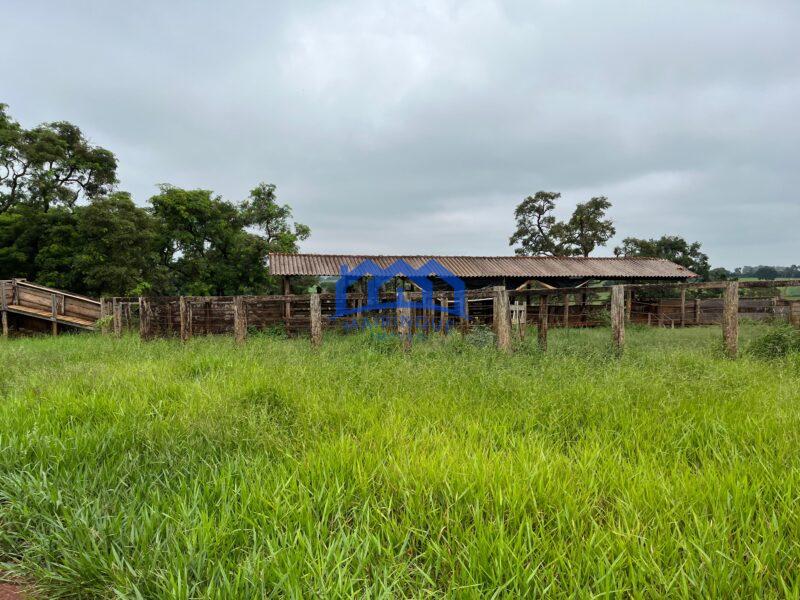 Fazenda a venda na região de Avaré 3.3638,00m² R$ 42.000.000,00