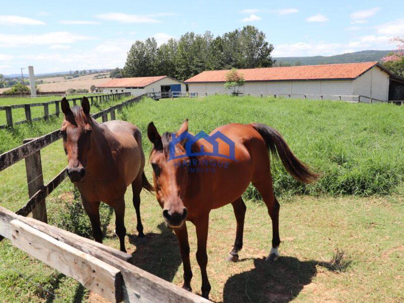 Sítio/Fazenda com 3 Quartos e 2 banheiro à Venda, 242000 m² por R$ 8.500.000 COD ch1584