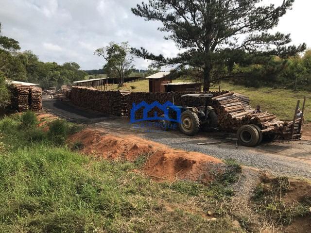 Sítio/Fazenda na região de Pilar do Sul à Venda, 92000 m² por R$ 2.000.000 COD ch1589