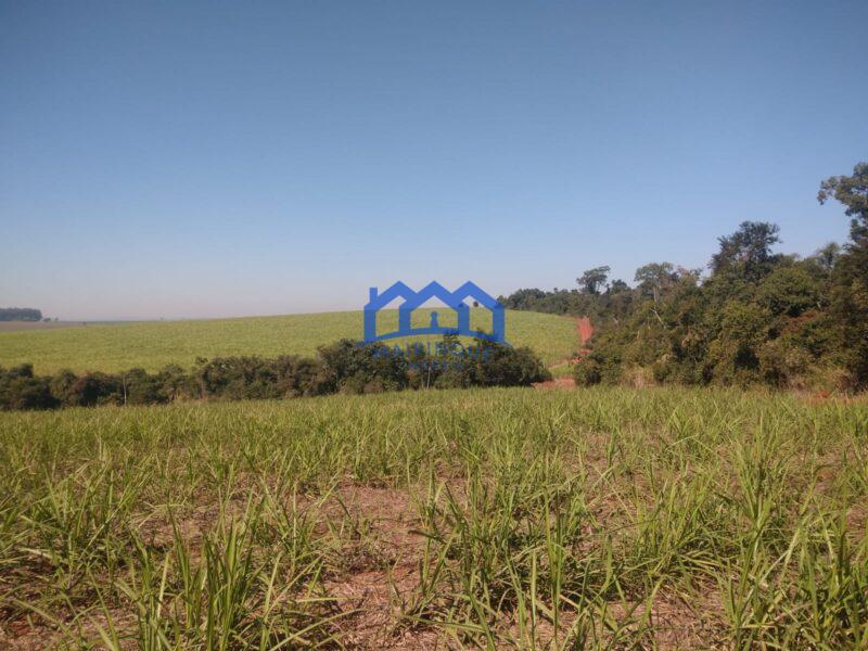 Excelente fazenda a venda em Itaí sp 126 Alqueires R$30.000.000,00 ch1595