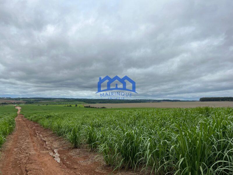 Excelente fazenda a venda em Itaí sp 126 Alqueires R$30.000.000,00 ch1595