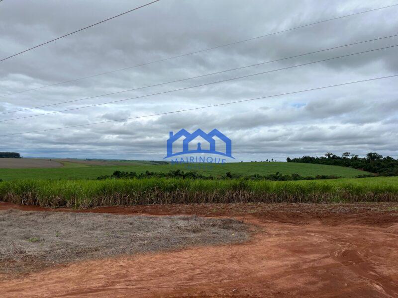 Excelente fazenda a venda em Itaí sp 126 Alqueires R$30.000.000,00 ch1595