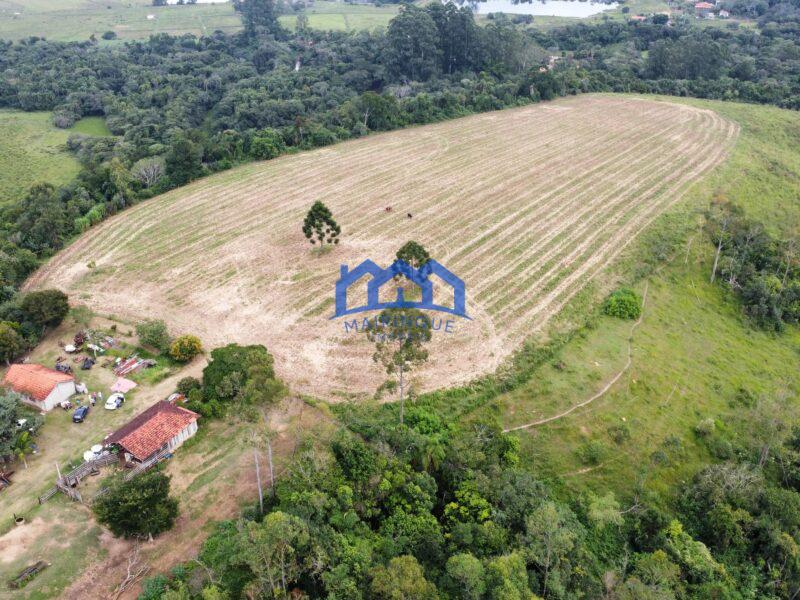 Fazenda á venda em Pilar do Sul, 11 alqueires R$ 2.000.000,00 COD ch1612