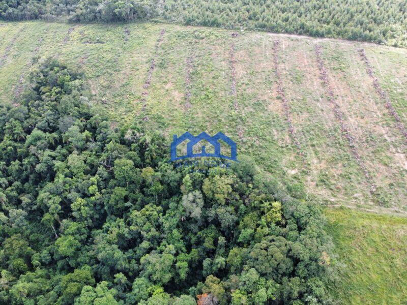 Fazenda á venda em Pilar do Sul, 11 alqueires R$ 2.000.000,00 COD ch1612