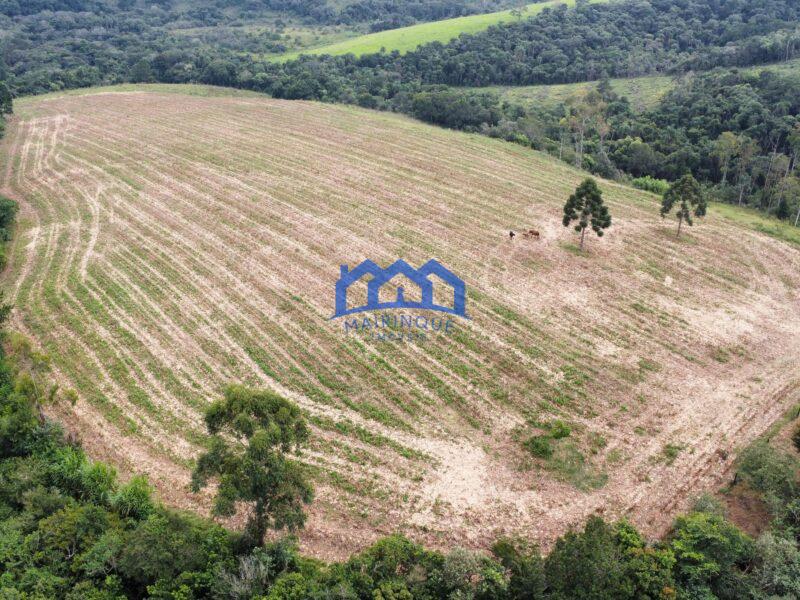 Fazenda á venda em Pilar do Sul, 11 alqueires R$ 2.000.000,00 COD ch1612