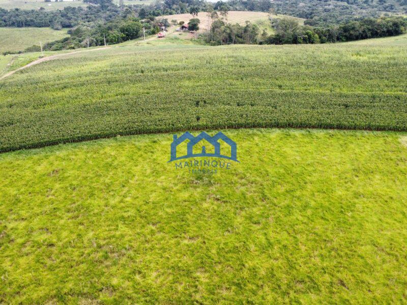 Fazenda á venda em Pilar do Sul, 11 alqueires R$ 2.000.000,00 COD ch1612