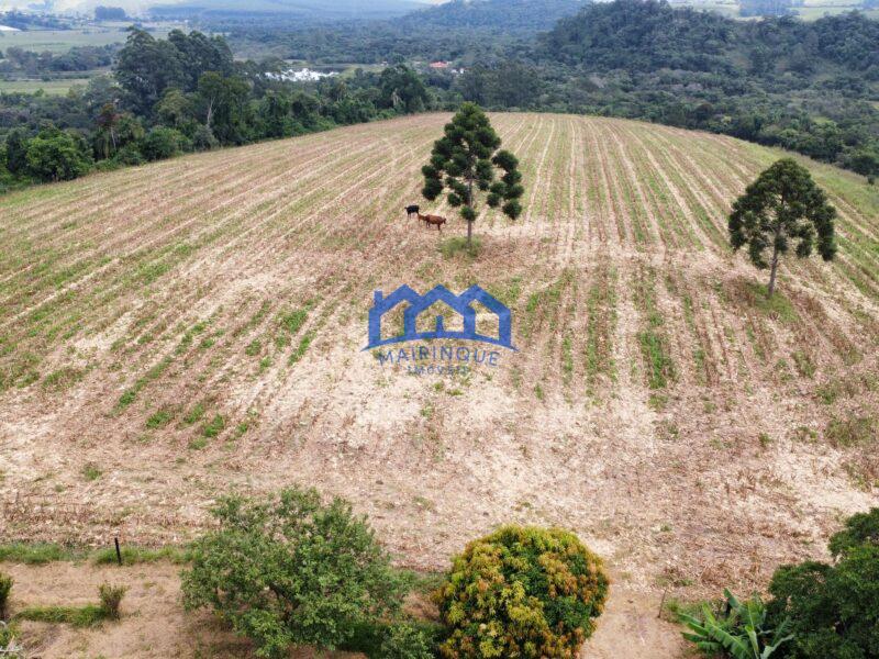 Fazenda á venda em Pilar do Sul, 11 alqueires R$ 2.000.000,00 COD ch1612