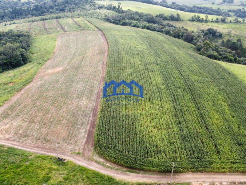 Fazenda á venda em Pilar do Sul, 11 alqueires R$ 2.000.000,00 COD ch1612