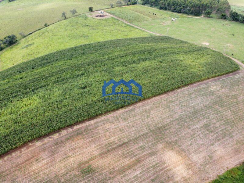 Fazenda á venda em Pilar do Sul, 11 alqueires R$ 2.000.000,00 COD ch1612