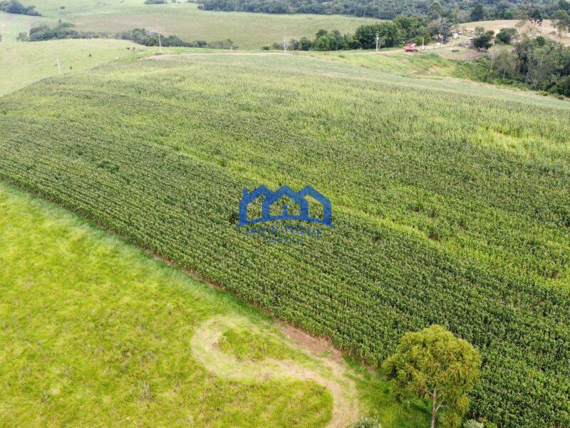 Fazenda á venda em Pilar do Sul, 11 alqueires R$ 2.000.000,00 COD ch1612