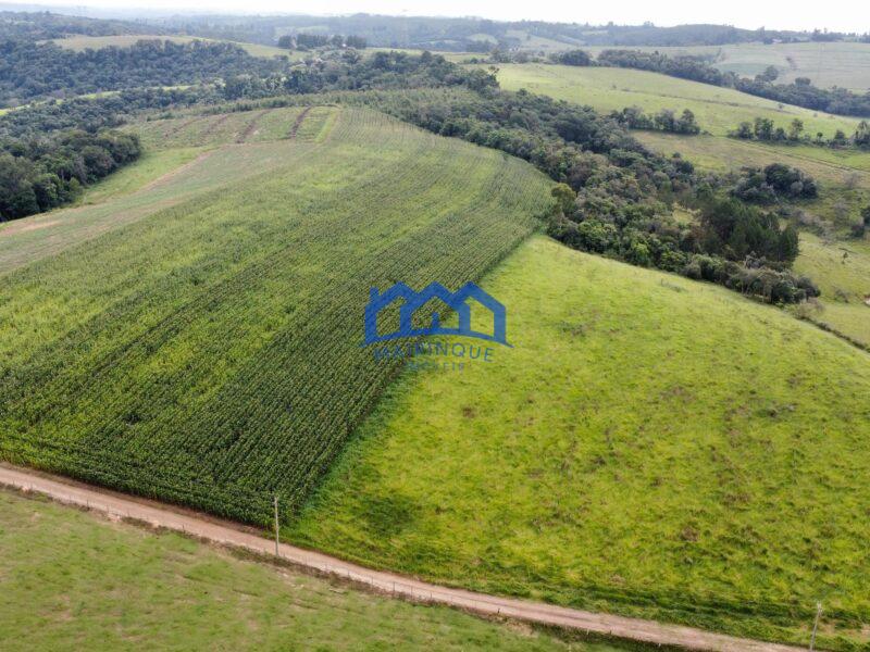 Fazenda á venda em Pilar do Sul, 11 alqueires R$ 2.000.000,00 COD ch1612