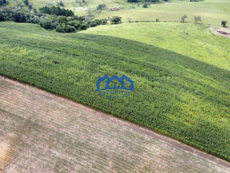 Fazenda á venda em Pilar do Sul, 11 alqueires R$ 2.000.000,00 COD ch1612