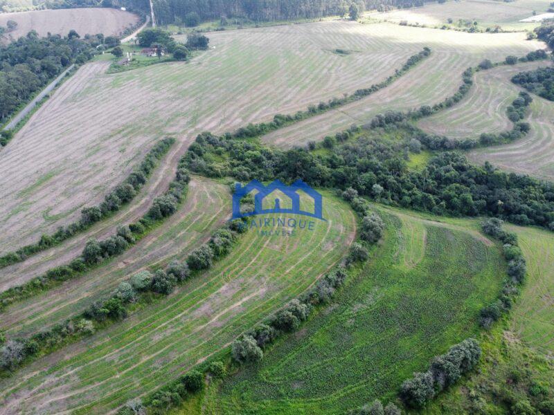 Fazenda á venda em Pilar do Sul, 11 alqueires R$ 4.000.000,00 COD ch1613