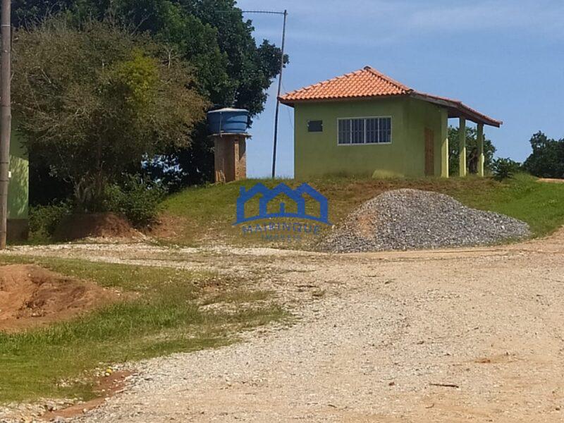 EXCELENTE FAZENDA DE LARANJA A VENDA EM BURI-SP 120 alq. R$ 32.000.000,00 ch1656