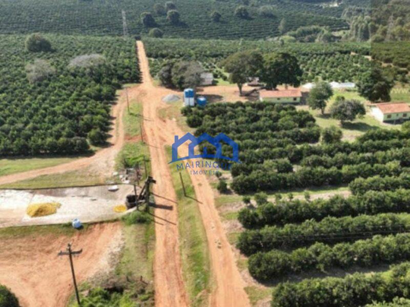 FAZENDA DE LARANJA A VENDA EM ITAPETININGA 170 ALQ. R$42.500.000,00 ch1657