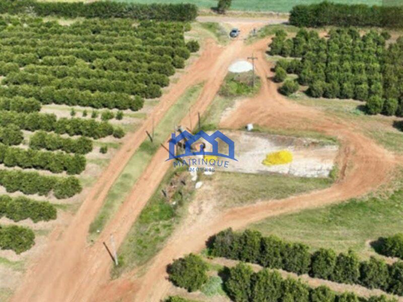 FAZENDA DE LARANJA A VENDA EM ITAPETININGA 170 ALQ. R$42.500.000,00 ch1657