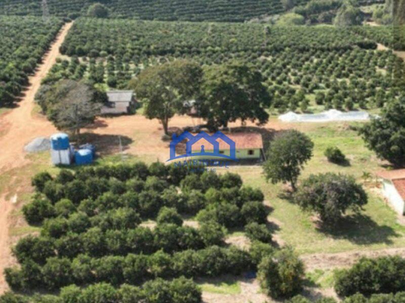 FAZENDA DE LARANJA A VENDA EM ITAPETININGA 170 ALQ. R$42.500.000,00 ch1657