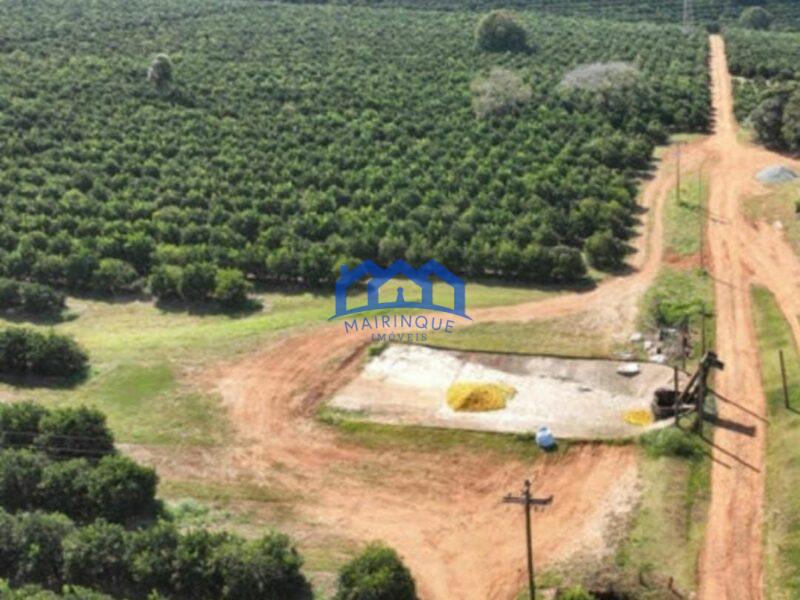 FAZENDA DE LARANJA A VENDA EM ITAPETININGA 170 ALQ. R$42.500.000,00 ch1657