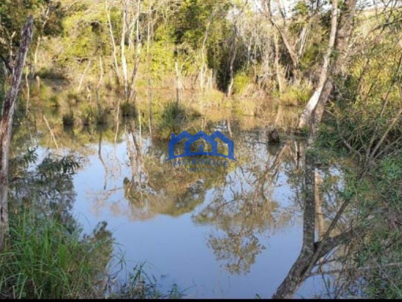 FAZENDA DE LARANJA A VENDA EM ITAPETININGA 170 ALQ. R$42.500.000,00 ch1657