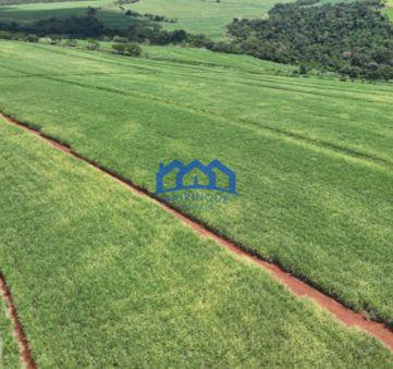 Fazenda a venda na região de São Carlos, 4.900.000 m2 por R$ 42.000.000 cod 1672