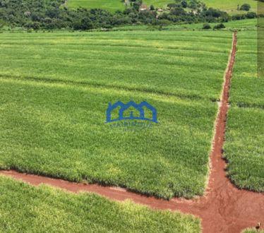 Fazenda a venda na região de São Carlos, 4.900.000 m2 por R$ 42.000.000 cod 1672