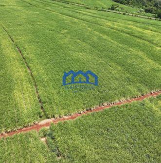 Fazenda a venda na região de São Carlos, 4.900.000 m2 por R$ 42.000.000 cod 1672