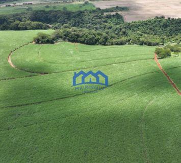 Fazenda a venda na região de São Carlos, 4.900.000 m2 por R$ 42.000.000 cod 1672