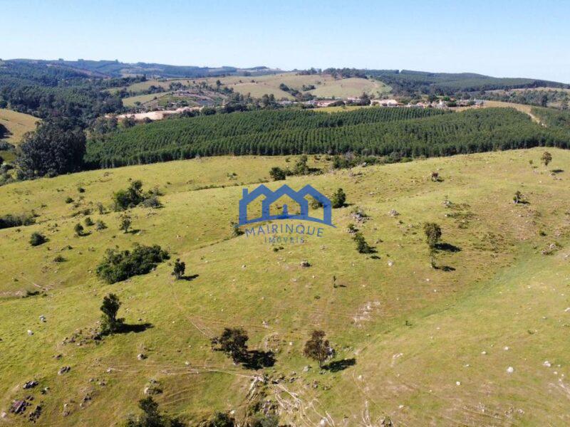 Fazenda/Sítio com 3 Quartos e 1 banheiros à Venda, 580.000 m² por R$ 3.500.000 Cod. ch1692