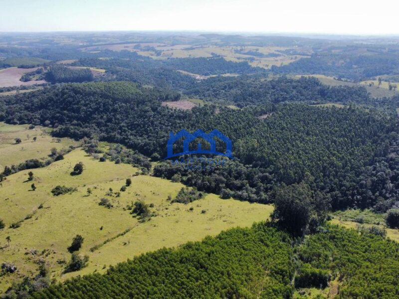 Fazenda/Sítio com 3 Quartos e 1 banheiros à Venda, 580.000 m² por R$ 3.500.000 Cod. ch1692