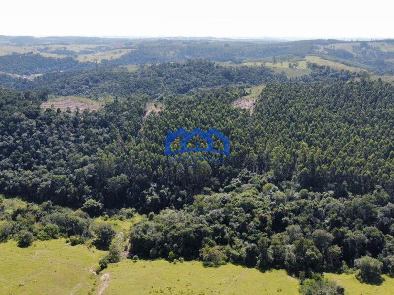 Fazenda/Sítio com 3 Quartos e 1 banheiros à Venda, 580.000 m² por R$ 3.500.000 Cod. ch1692