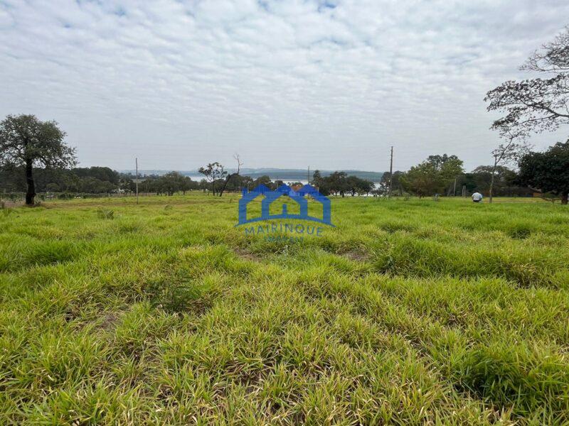 Lote/Terreno à Venda, 3.300 m² por R$ 250.000 COD ch1734