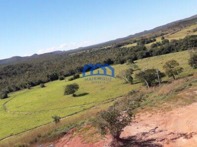 Fazenda/Sítio na região de Pindorama à Venda, 600 alq. por R$ 45.000,000.00 cód. ch1743