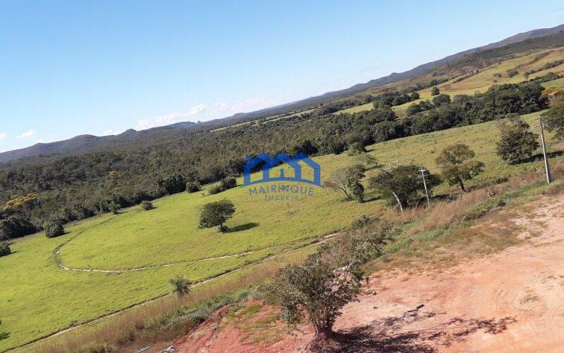 Fazenda/Sítio na região de Pindorama à Venda, 600 alq. por R$ 45.000,000.00 cód. ch1743