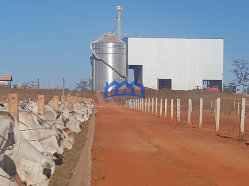 Fazenda/Sítio na região de Pindorama à Venda, 600 alq. por R$ 45.000,000.00 cód. ch1743