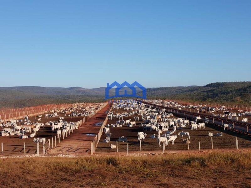 Fazenda/Sítio na região de Pindorama à Venda, 600 alq. por R$ 45.000,000.00 cód. ch1743