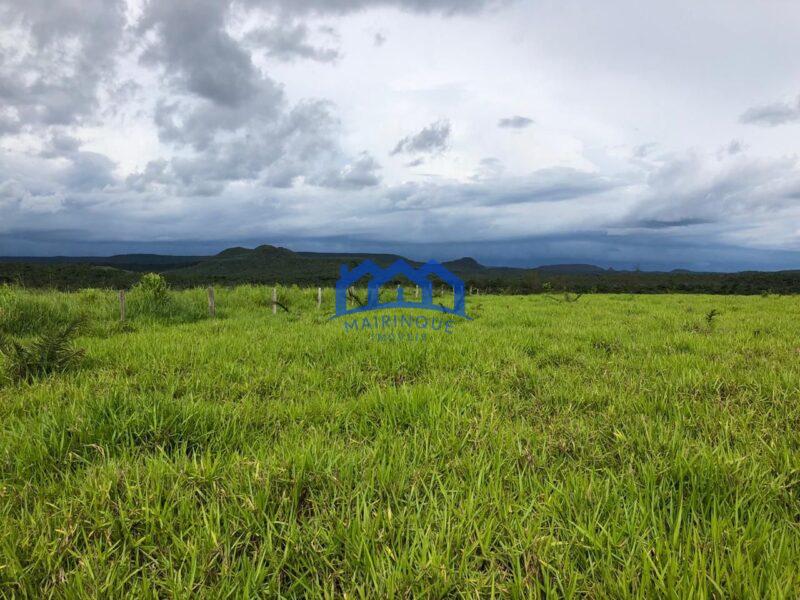 Fazenda/Sítio na região de Pindorama à Venda, 600 alq. por R$ 45.000,000.00 cód. ch1743