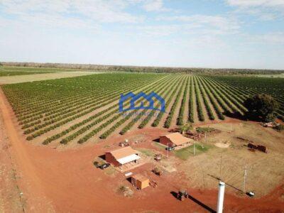 Fazenda com Área Total de 158,33 Hectares, R$ 27.000.000,00. cod.ch1773