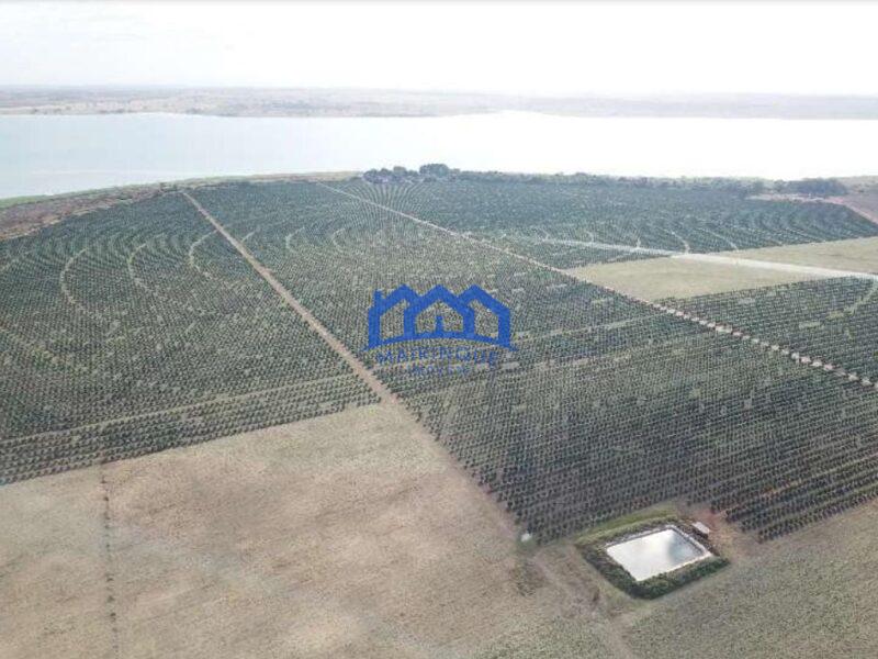 Fazenda com Área Total de 158,33 Hectares, R$ 27.000.000,00. cod.ch1773