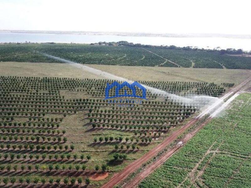 Fazenda com Área Total de 158,33 Hectares, R$ 27.000.000,00. cod.ch1773