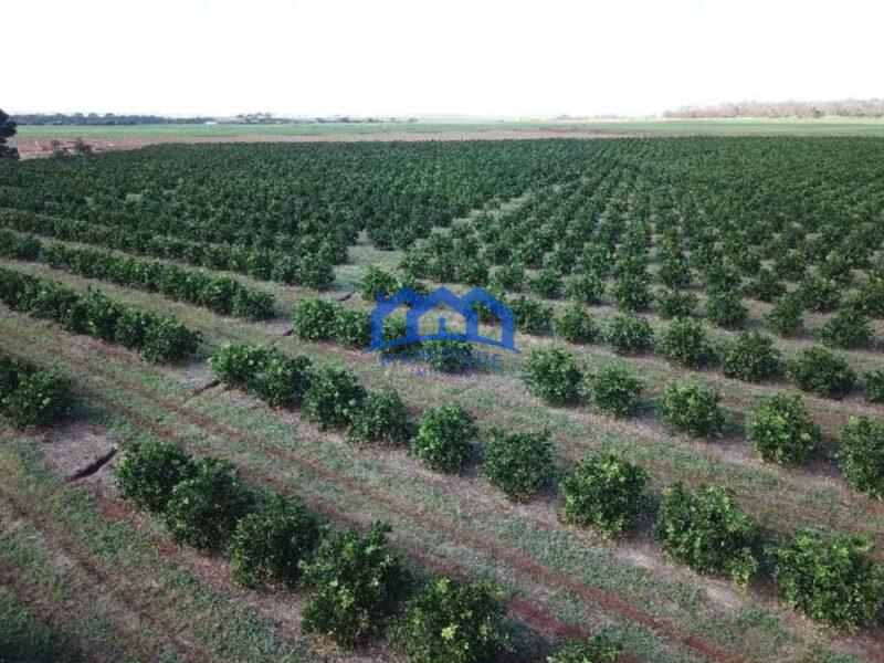 Fazenda com Área Total de 158,33 Hectares, R$ 27.000.000,00. cod.ch1773