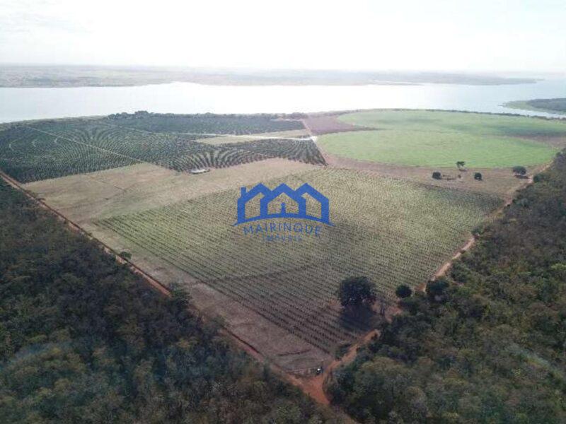 Fazenda com Área Total de 158,33 Hectares, R$ 27.000.000,00. cod.ch1773