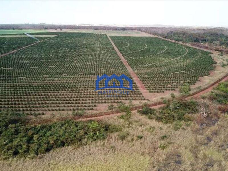 Fazenda com Área Total de 158,33 Hectares, R$ 27.000.000,00. cod.ch1773