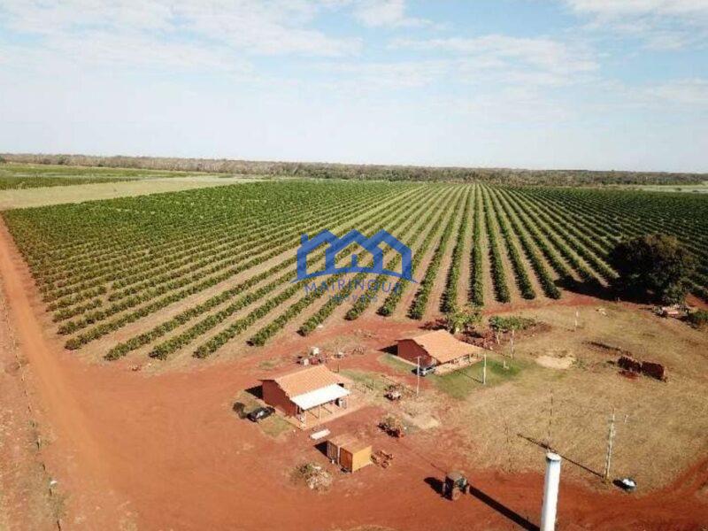 Fazenda com Área Total de 158,33 Hectares, R$ 27.000.000,00. cod.ch1773