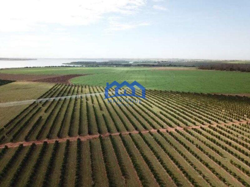 Fazenda com Área Total de 158,33 Hectares, R$ 27.000.000,00. cod.ch1773