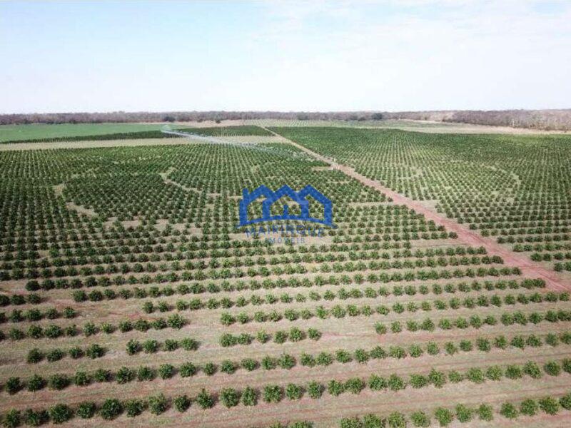 Fazenda com Área Total de 158,33 Hectares, R$ 27.000.000,00. cod.ch1773